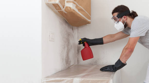 Professional Bathroom Mold Removal technician working in Devon, PA